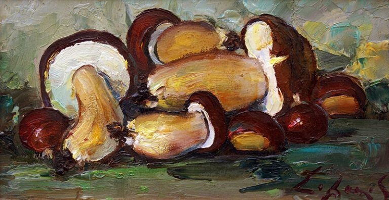 Funghi Opera di Gio Batta Lepori